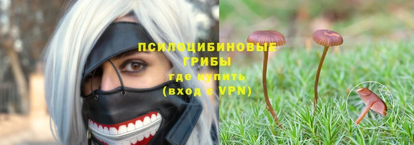 дмт Домодедово