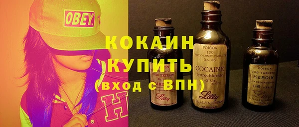 PSILOCYBIN Магас