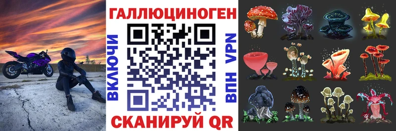 Псилоцибиновые грибы мухоморы  где можно купить наркотик  Никольск 